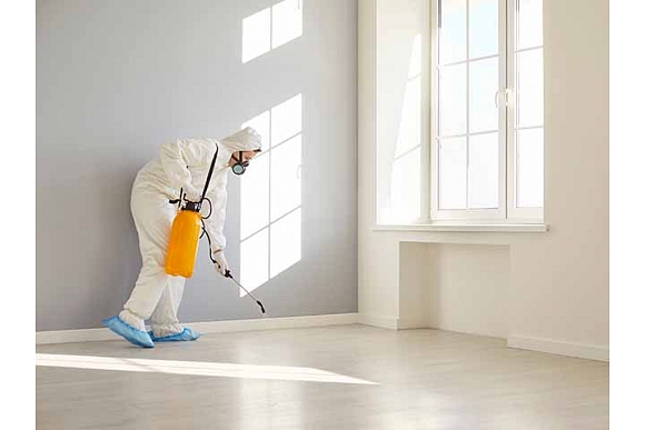 Autors: Shutterstock.com