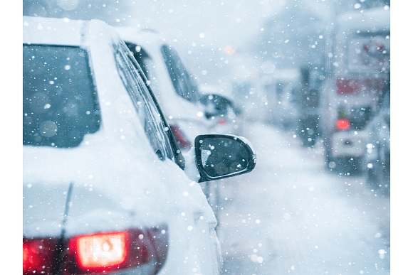 Autors: Shutterstock.com