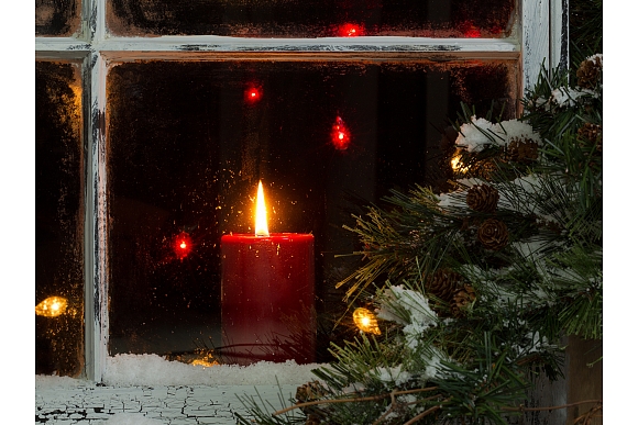 Autors: Shutterstock.com