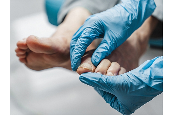 Autors: shutterstock.com