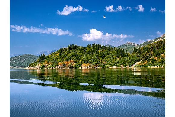 Autors: Shutterstock.com