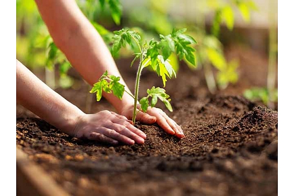 Autors: Shutterstock.com