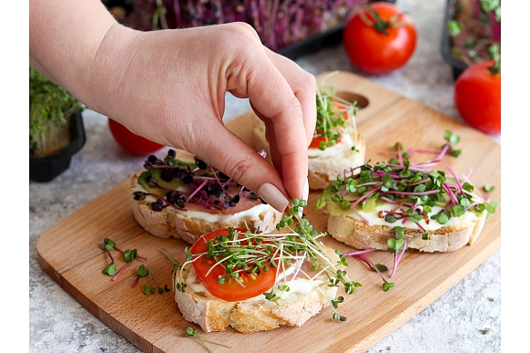 Autors: Shutterstock.com