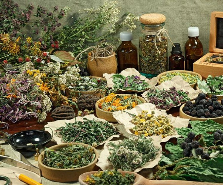 Dunduru tējas – dabiska izvēle mūsdienu cilvēkam, kas novērtē kvalitāti un līdzsvaru