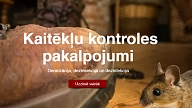 Kas ir dezinsekcija, un kādēļ tā ir svarīga?