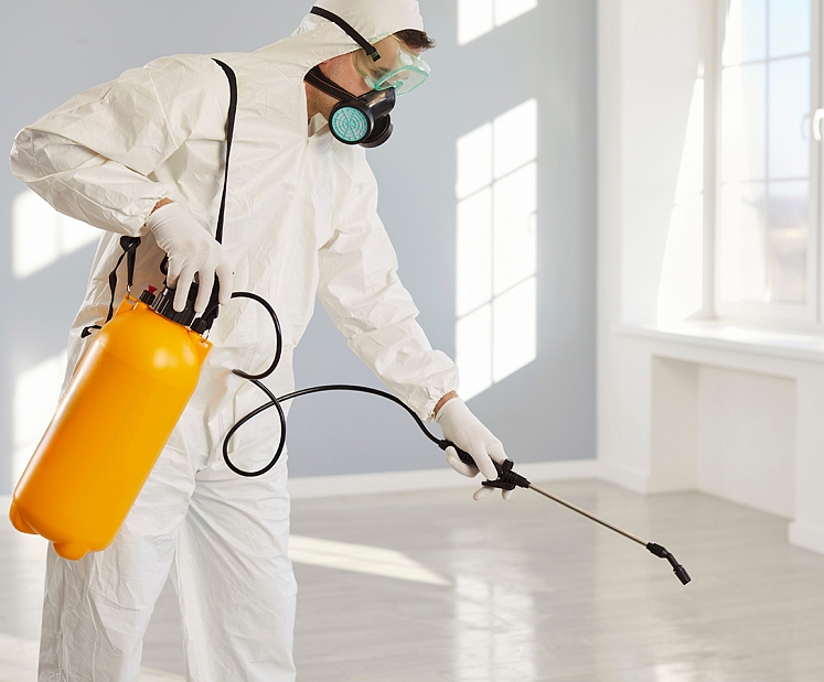 Deratizācija: kā izvēlēties drošu un efektīvu risinājumu?