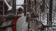 Santa Klauss Lapzemē: stāsts, kam notic gan bērni, gan pieaugušie