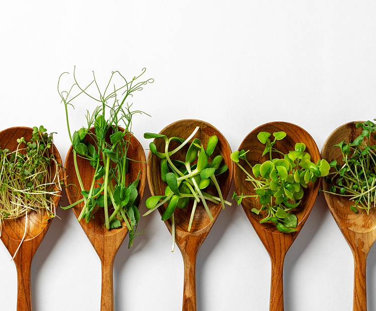 Pavasara atmoda: uzlādējies ar zaļumu spēku