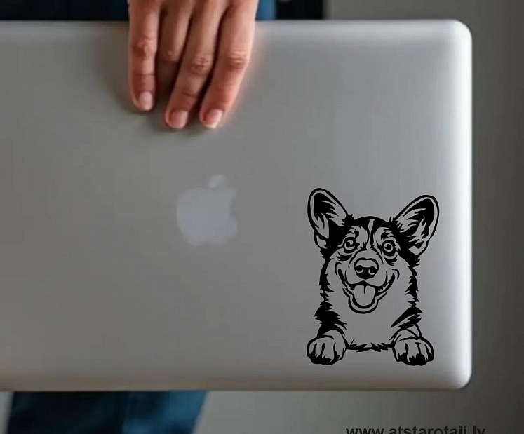 Atstarotaji.lv: drošība un stils, kas spīd tumsā