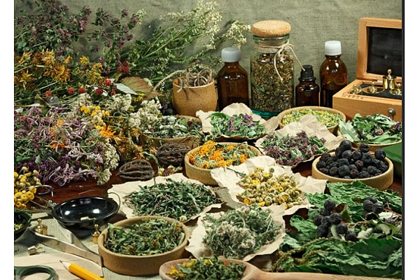 Dunduru tējas – dabiska izvēle mūsdienu cilvēkam, kas novērtē kvalitāti un līdzsvaru