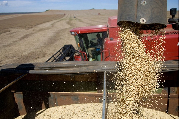 "Baltic Agro": Atrast labu tirdzniecības menedžeri ar agronoma izglītību kļūst arvien grūtāk