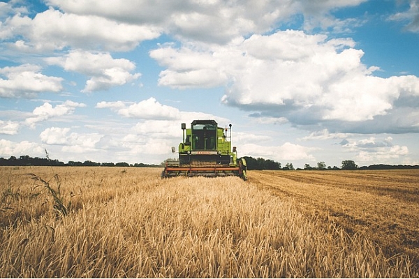 Lauksaimniecības uzņēmuma "Agro-Dzelzava" apgrozījums pagājušajā finanšu gadā sarucis par 6,1%