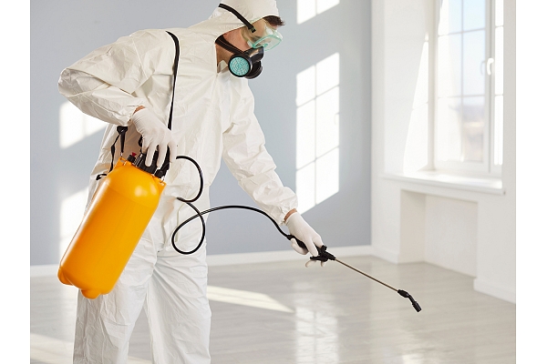 Deratizācija: kā izvēlēties drošu un efektīvu risinājumu?