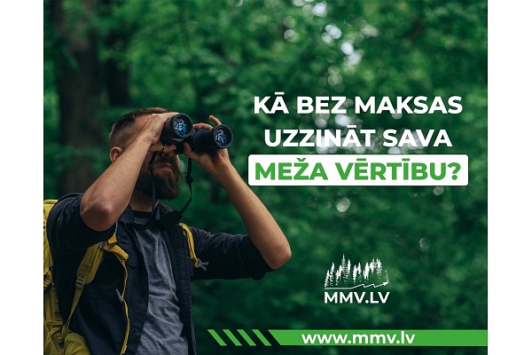 2023. gadā mežu un cirsmas reālo vērtību tagad var noskaidrot BEZ MAKSAS!