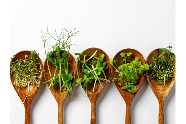 Pavasara atmoda: uzlādējies ar zaļumu spēku