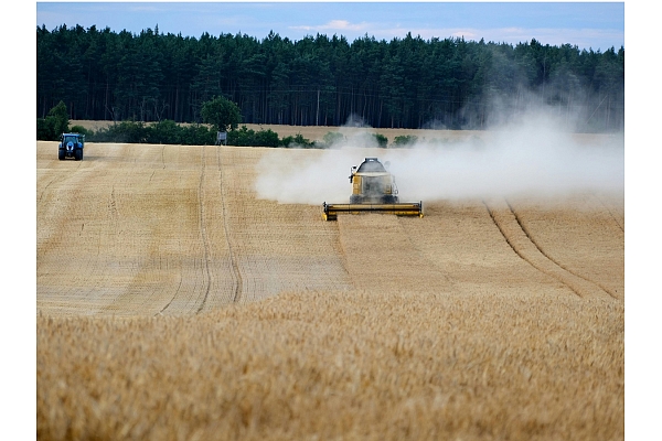 No saimniecības līdz eksportam: kā notiek ražas realizācija sadarbībā ar Agerona