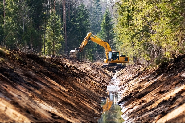 Kvalitatīva meža infrastruktūra – kvalitatīvs mežs