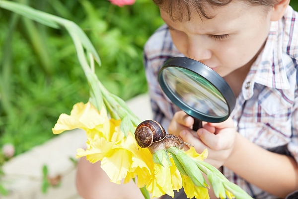 Daba – vislabākā mācību vide pirmsskolas vecuma bērniem!