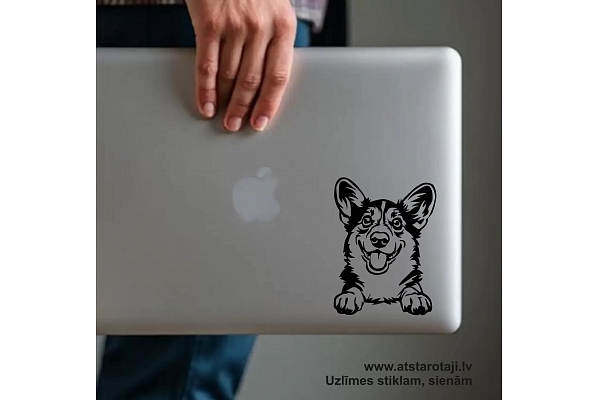 Atstarotaji.lv: drošība un stils, kas spīd tumsā