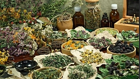 Dunduru tējas – dabiska izvēle mūsdienu cilvēkam, kas novērtē kvalitāti un līdzsvaru