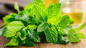 Svaigs kā piparmētra: meklē vasarīgas garšas