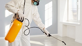 Deratizācija: kā izvēlēties drošu un efektīvu risinājumu?