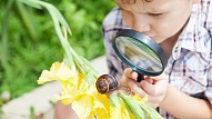 Daba – vislabākā mācību vide pirmsskolas vecuma bērniem!