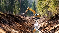 Kvalitatīva meža infrastruktūra – kvalitatīvs mežs