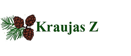 Kraujas Z, SIA