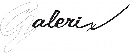 Galeri, salons