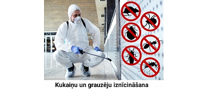 Dezinsekta, IK
