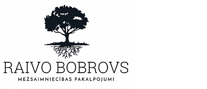 Mežsaimniecības pakalpojumi, Raivo Bobrovs