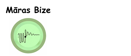 Māras Bize, SIA Māras Bize, SIA