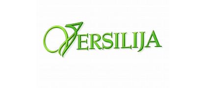Versilija.V, SIA