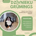 mājdzīvnieku grūmings
