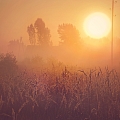 Fotogrāfs
