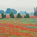Fotogrāfs