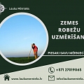 Zemes robežu uzmērīšana