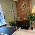 "Gentle Paws Jelgava"