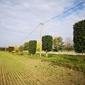 Bīstamo koku zāģēšana, koku kopšana, arborists