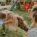 Poniji.lv - poniji pasākumiem, bērnu ballītēm