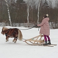 Poniji.lv - poniji pasākumiem, bērnu ballītēm