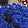 Rozes