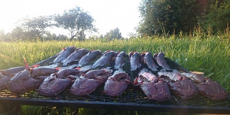 Kūpinātas zivis