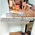 Dzīvokļu atbrīvošana