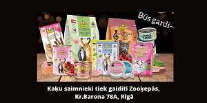 Kaķu barība