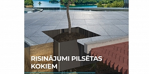 Koku sakņu aizsardzība
