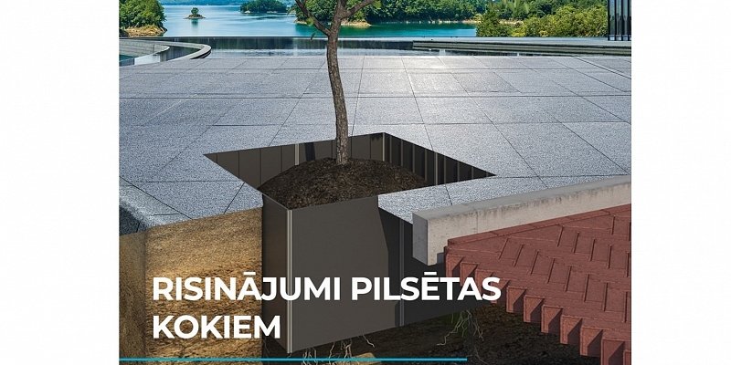 Koku sakņu aizsardzība