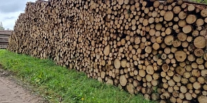 Kokmateriālu transportēšana