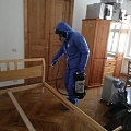 Dezinfekcija